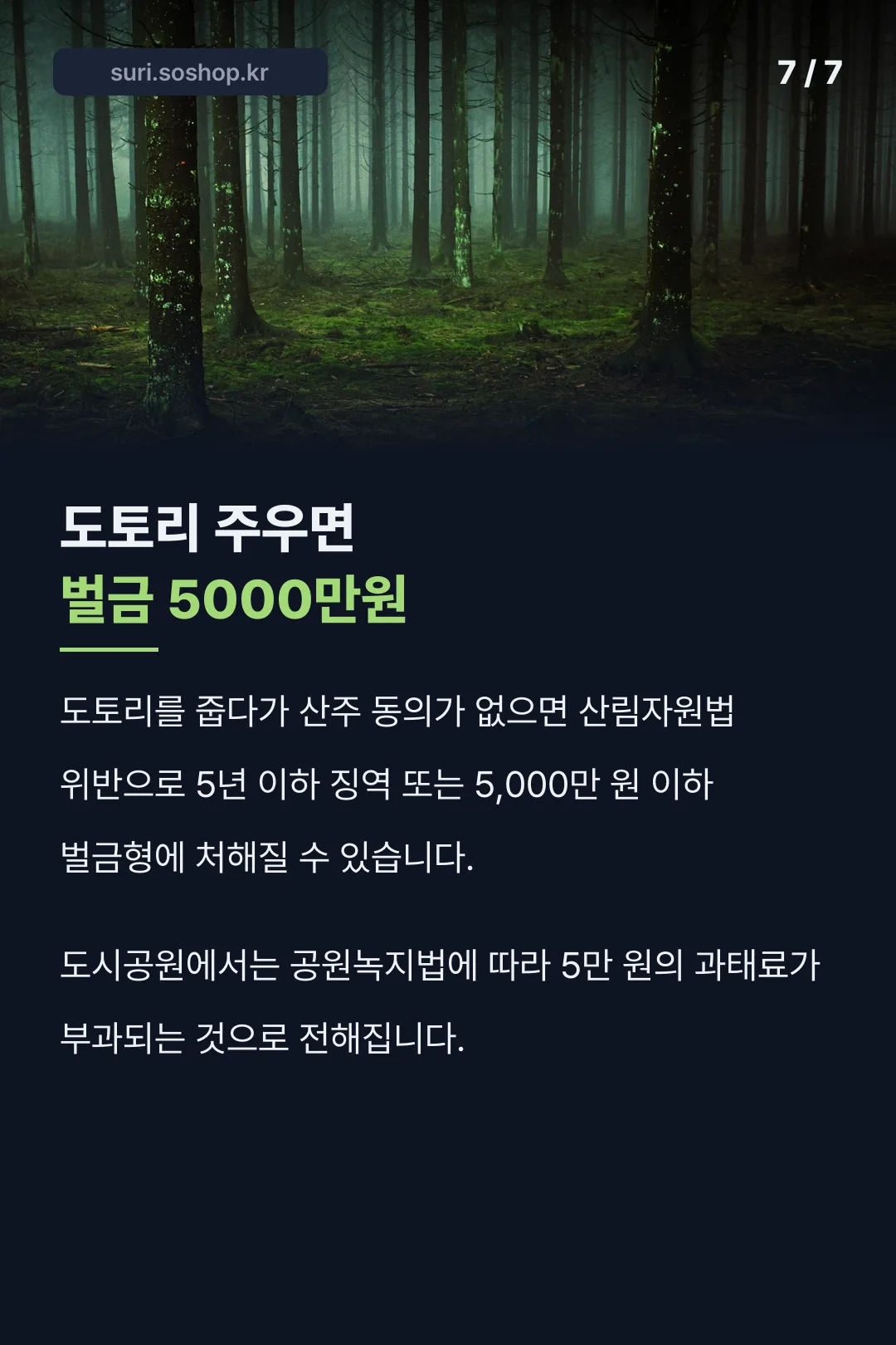 도토리 무단채취 벌금 기록