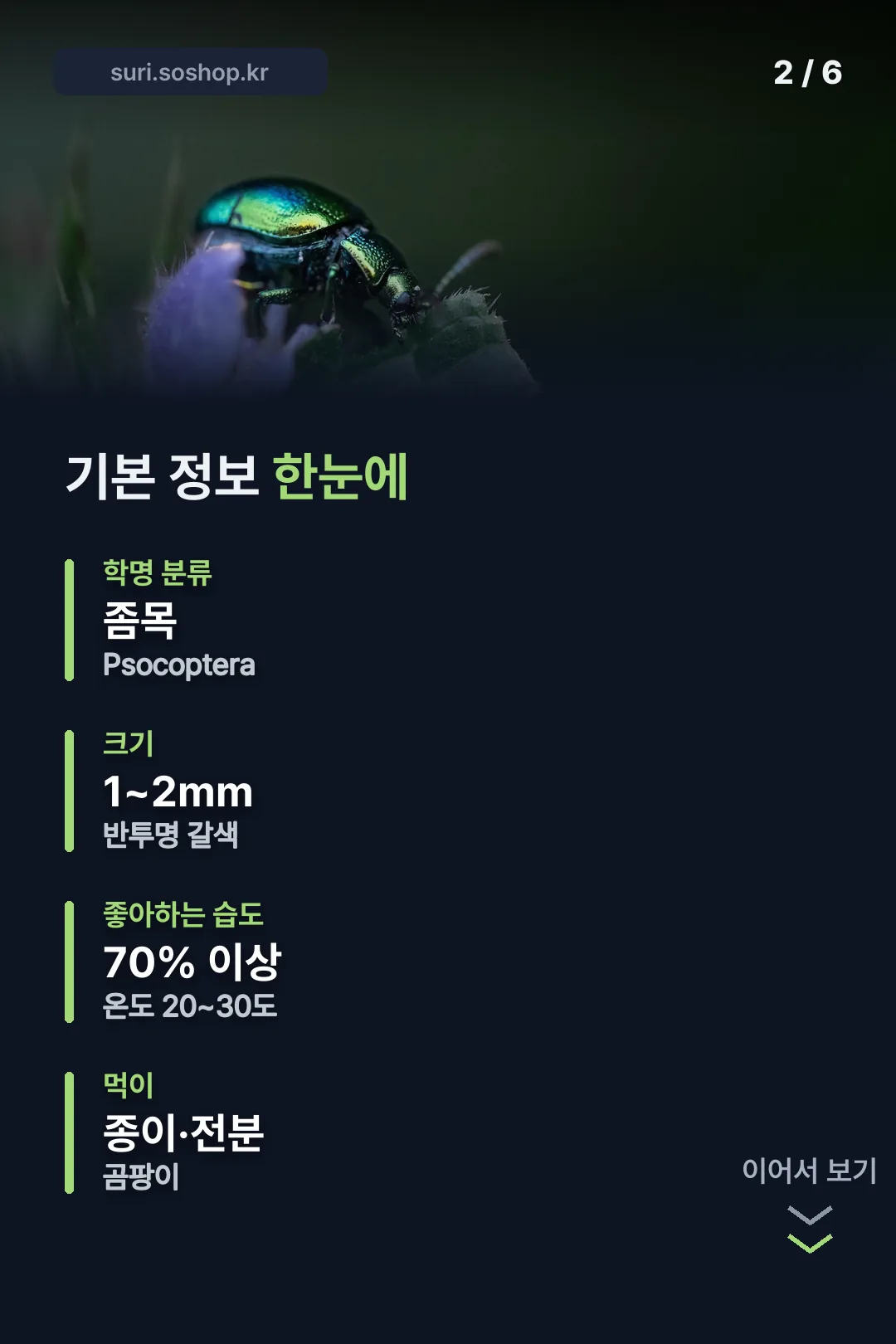 학명·크기 기본 정보