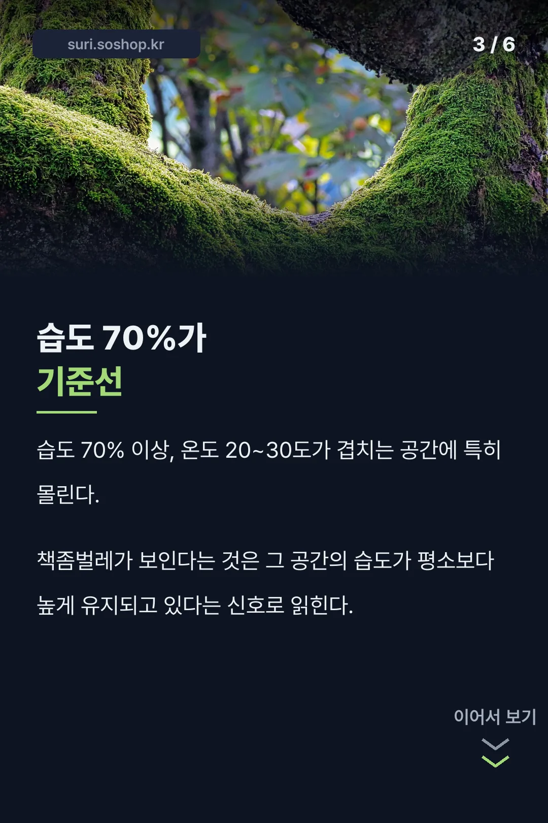 습도 70% 서식 조건