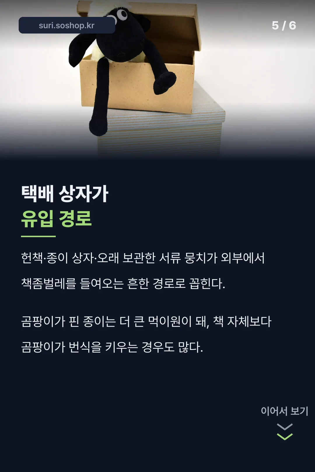 택배 상자 유입 경로