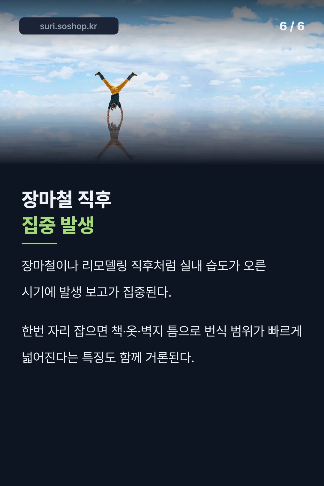 장마철 집중 발생