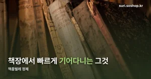 책좀벌레, 습도 70% 이상에서 생기는 1~2mm 벌레의 정체