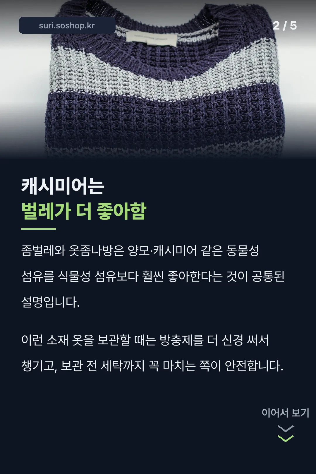 캐시미어는 벌레가 더 좋아함