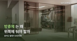 옷장용 방충제, 위치 하나로 효과가 갈립니다