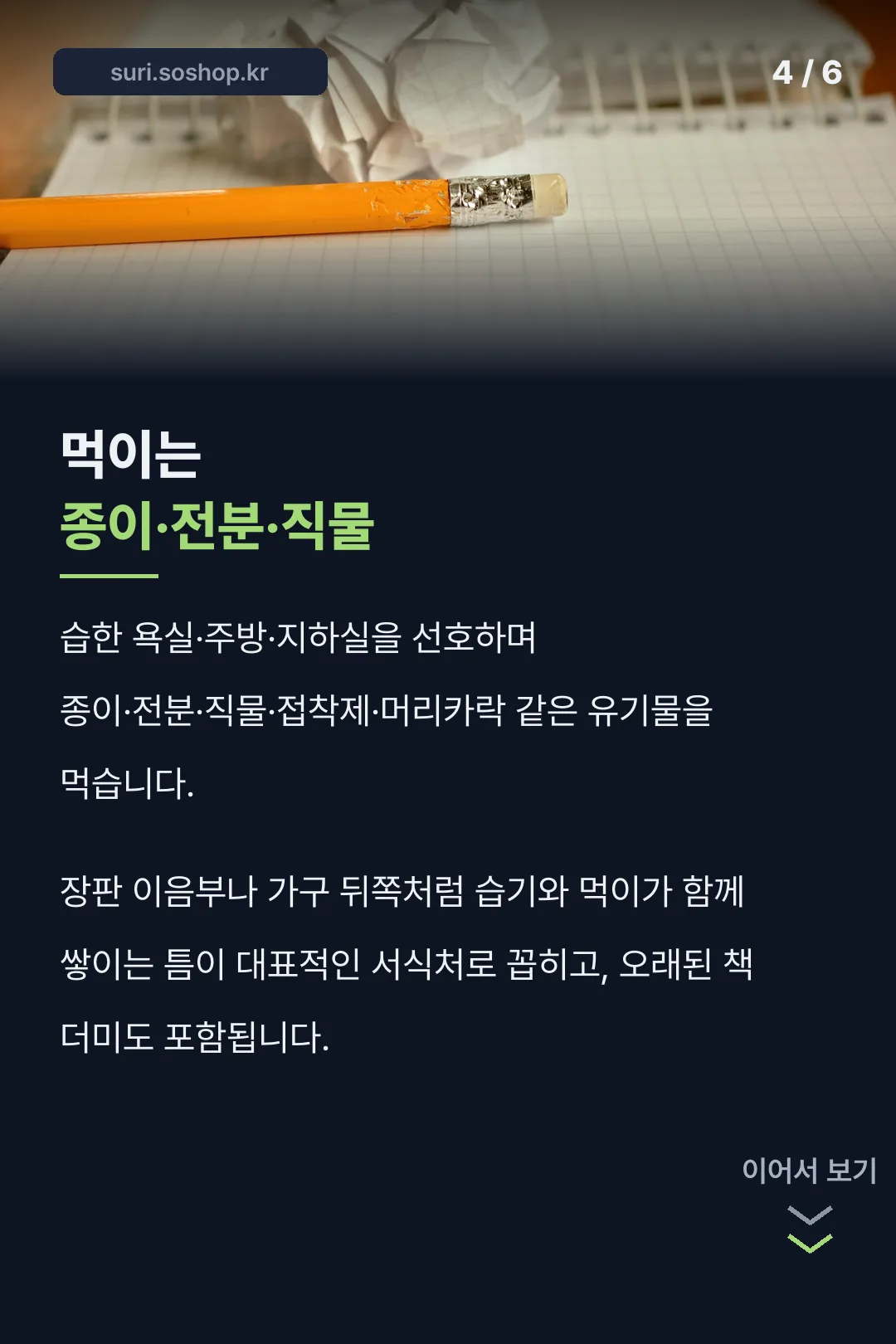 먹이는 종이와 직물