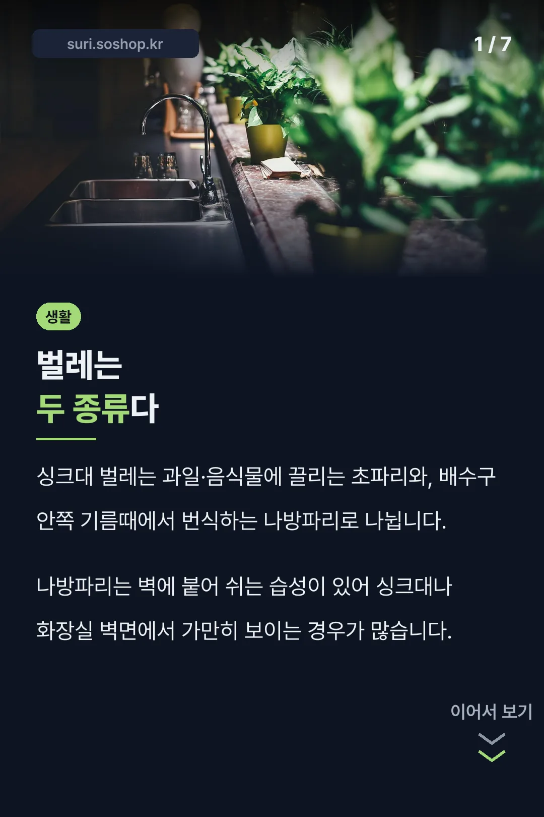 초파리 나방파리 구분