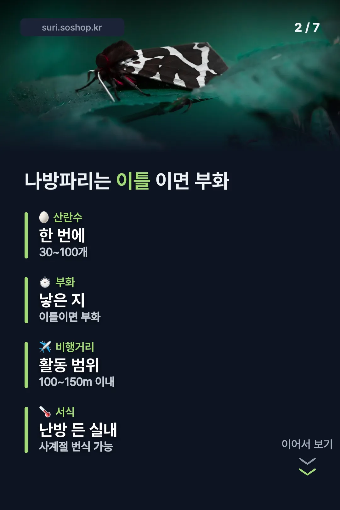 나방파리 생태 정리