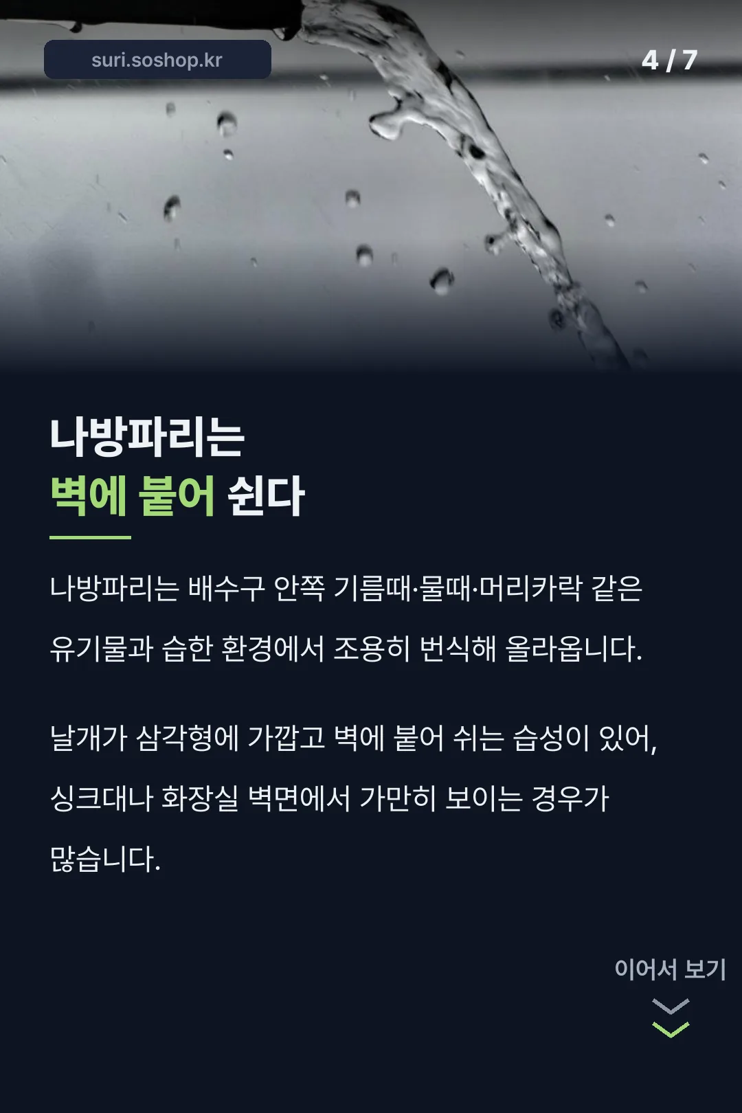 나방파리 번식 환경