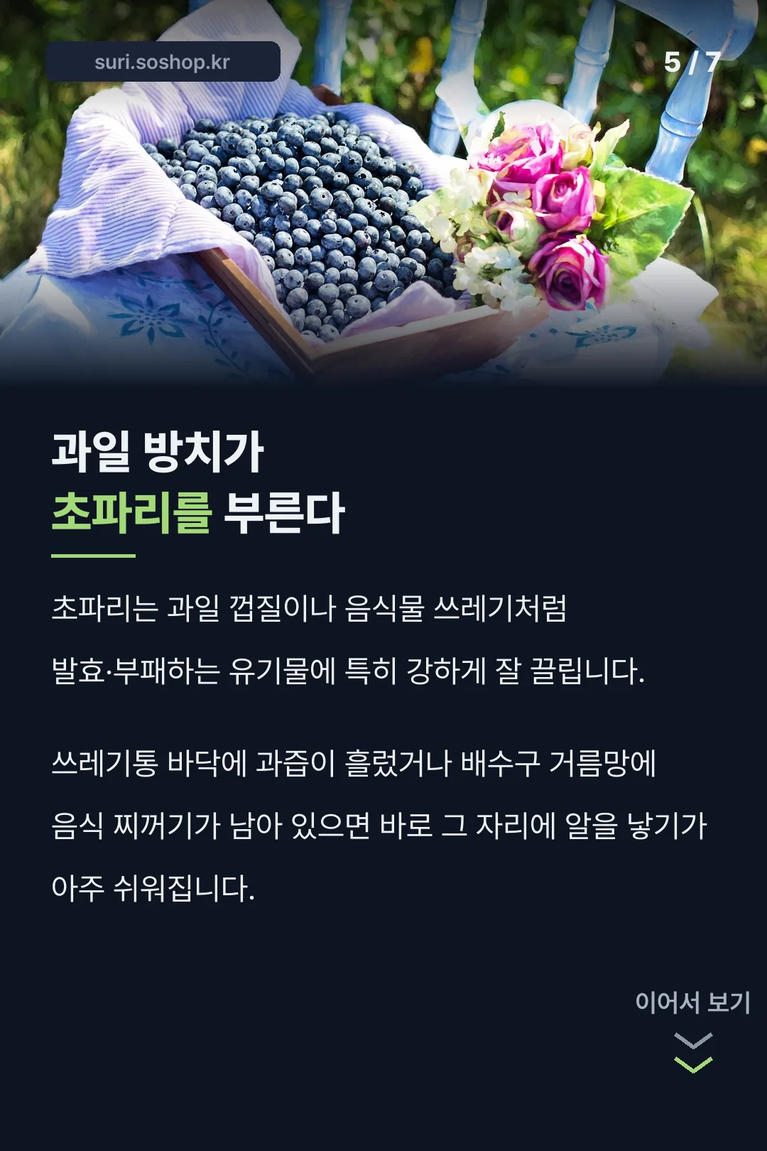 초파리를 부르는 환경