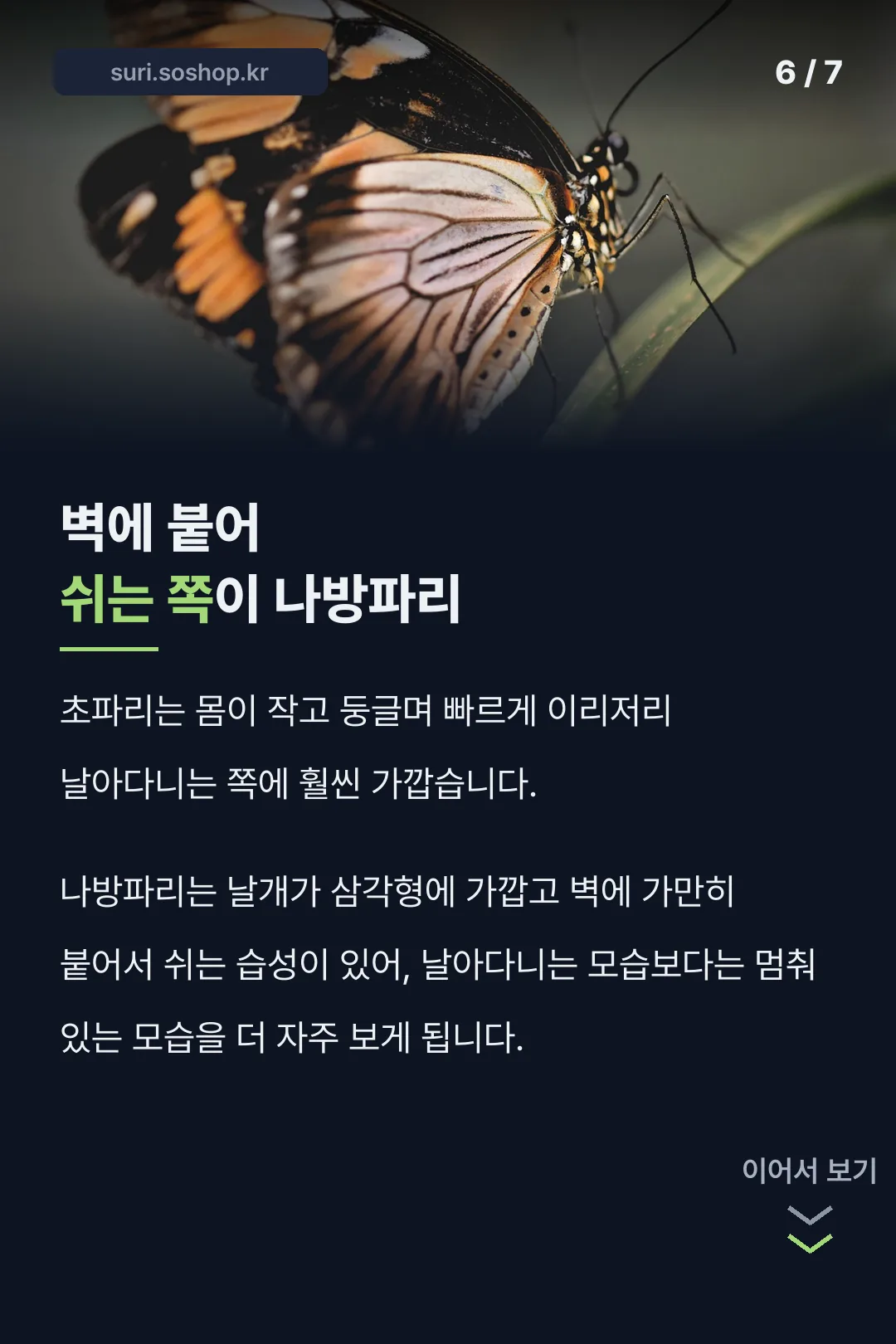 생김새로 구분하는 법