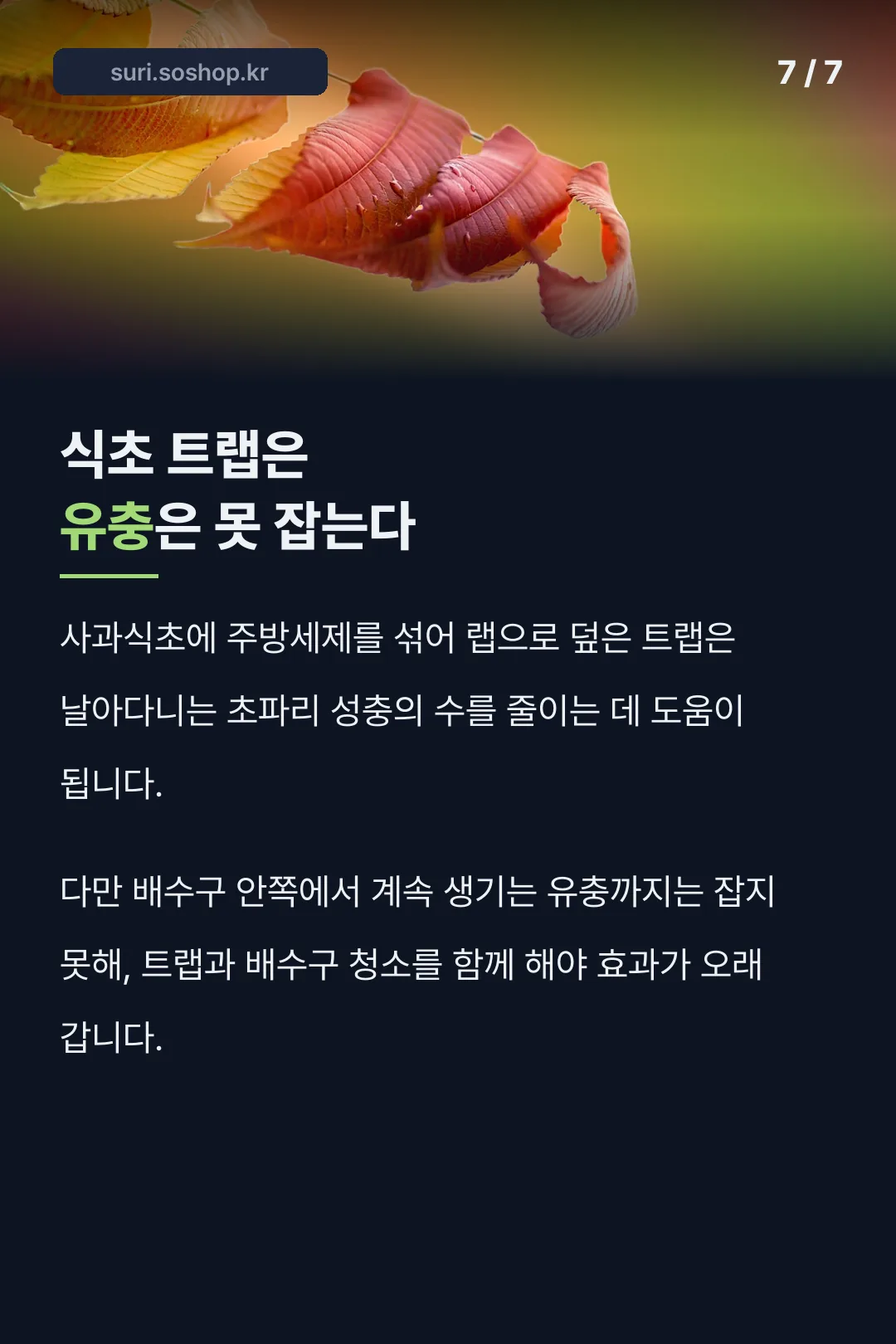 식초 트랩의 한계