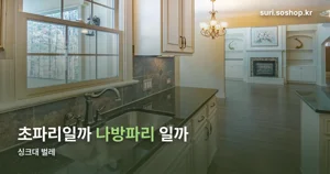 싱크대 벌레, 초파리와 나방파리는 없애는 법이 다릅니다