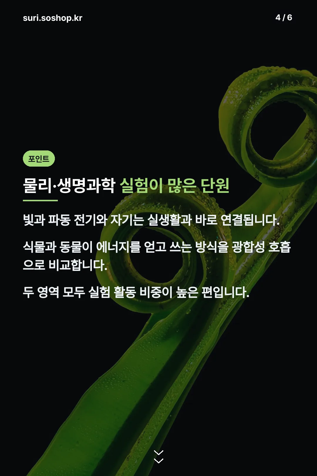 물리·생명과학 핵심 정리