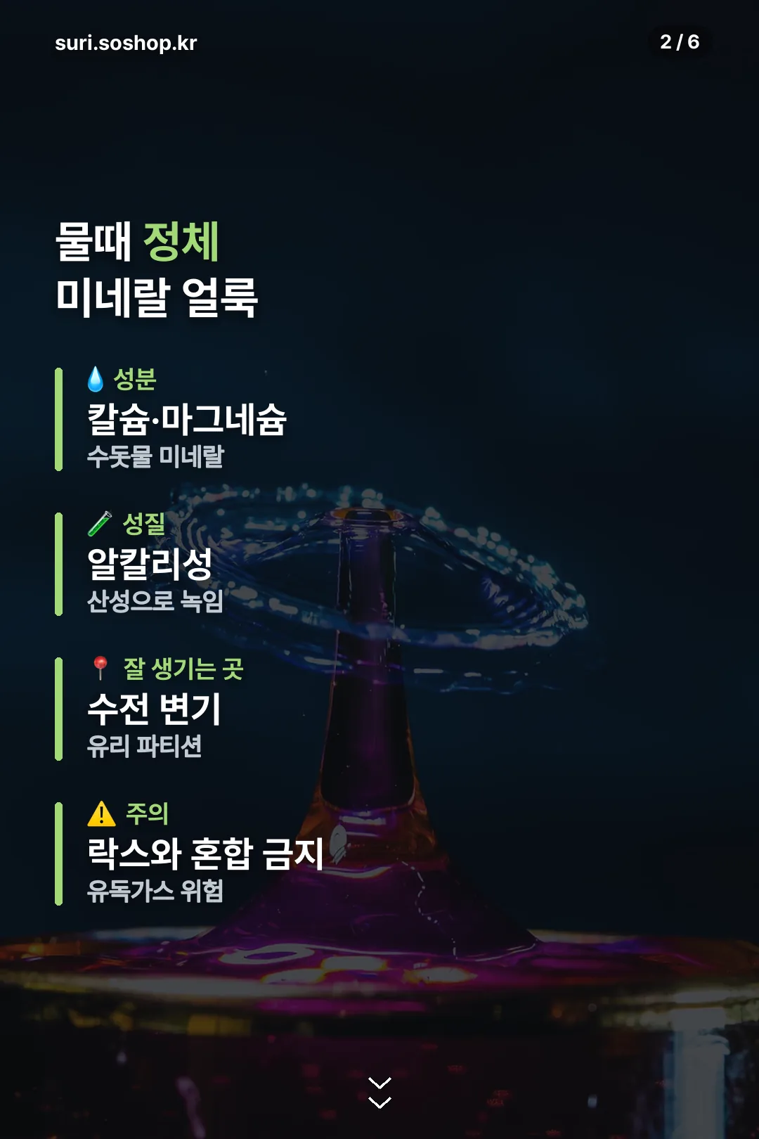 물때 정체와 원인