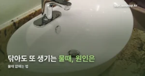 물때 정리 썸네일