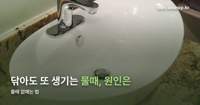 물때 정리 썸네일