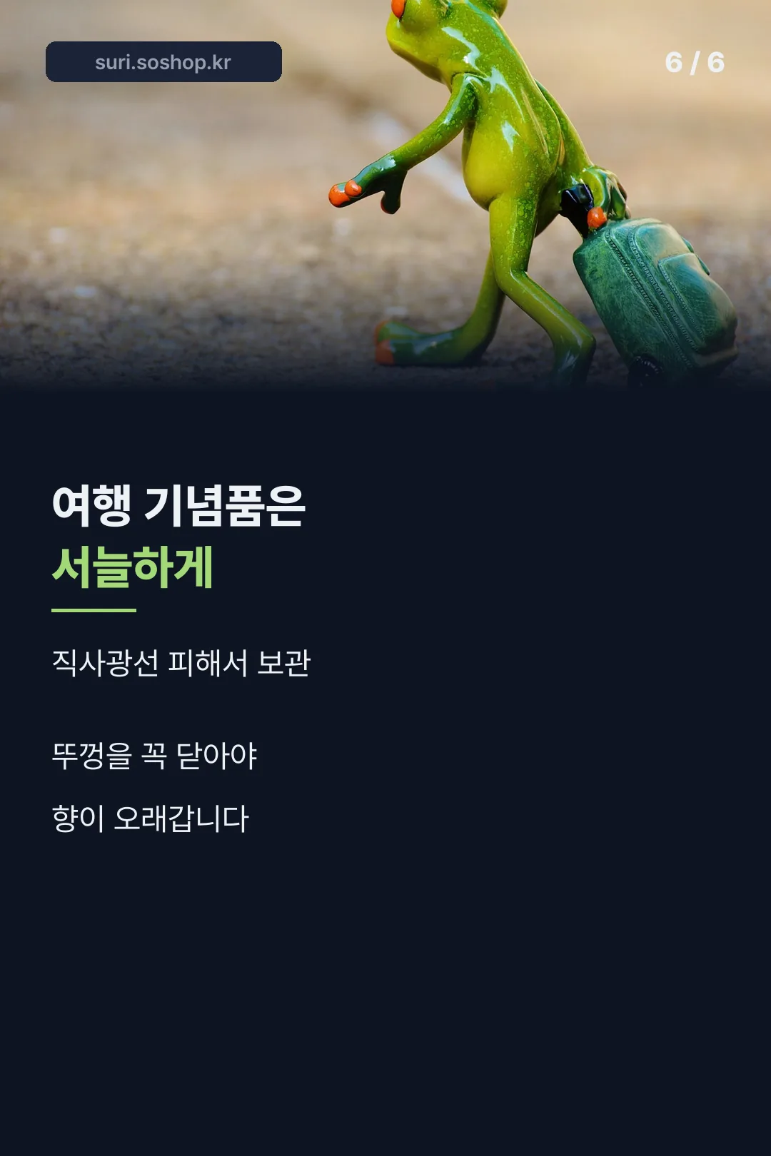 보관 팁