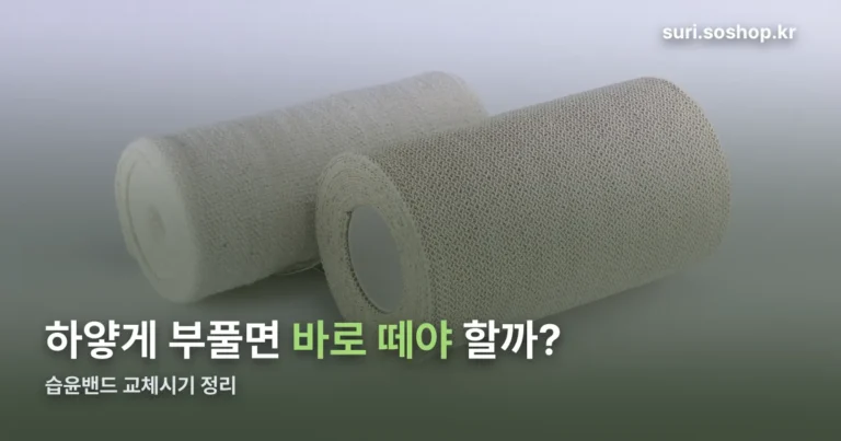 습윤밴드 교체시기 정리 썸네일