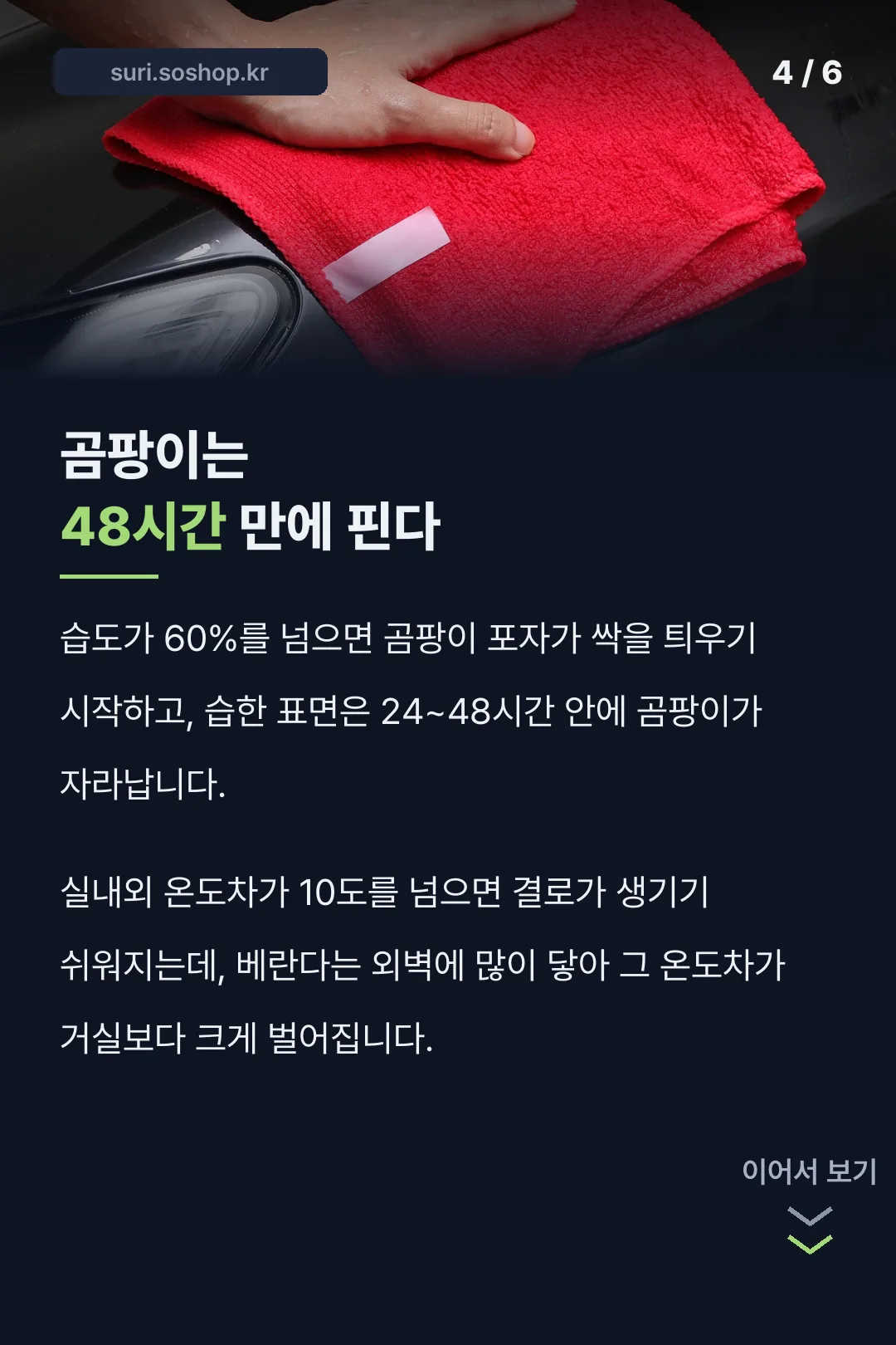 곰팡이가 자라는 속도