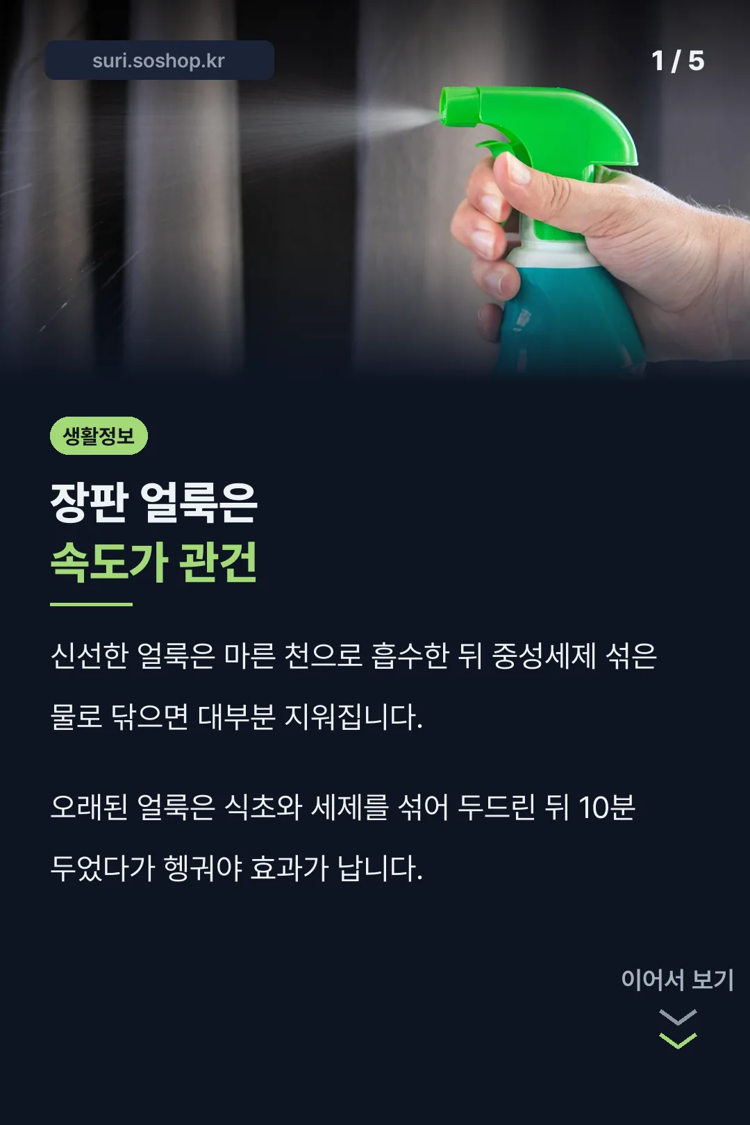 장판 얼룩 표지