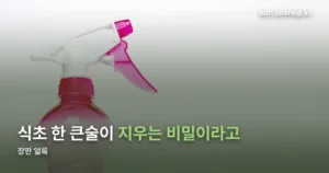 장판 얼룩 지우는 법 — 신선한 얼룩 vs 오래된 얼룩 대응법